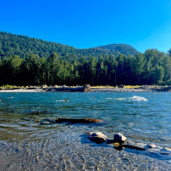 Meet your Posher, Jackie - Picture 1 of 1